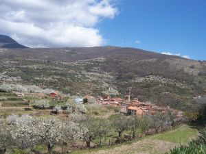 Viaje en moto al Valle del Jerte